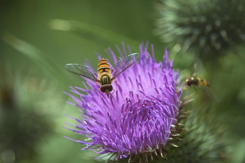 fly fishing insect imitations